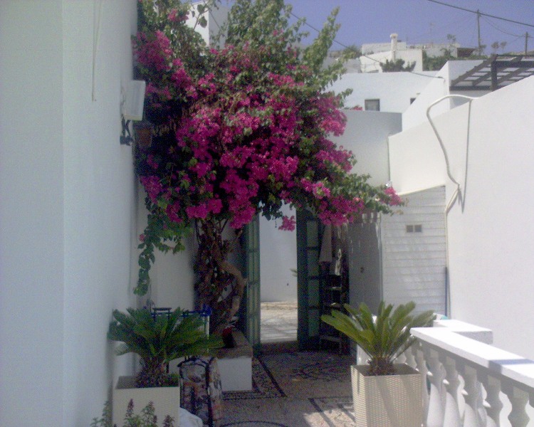 DSC00113.JPG